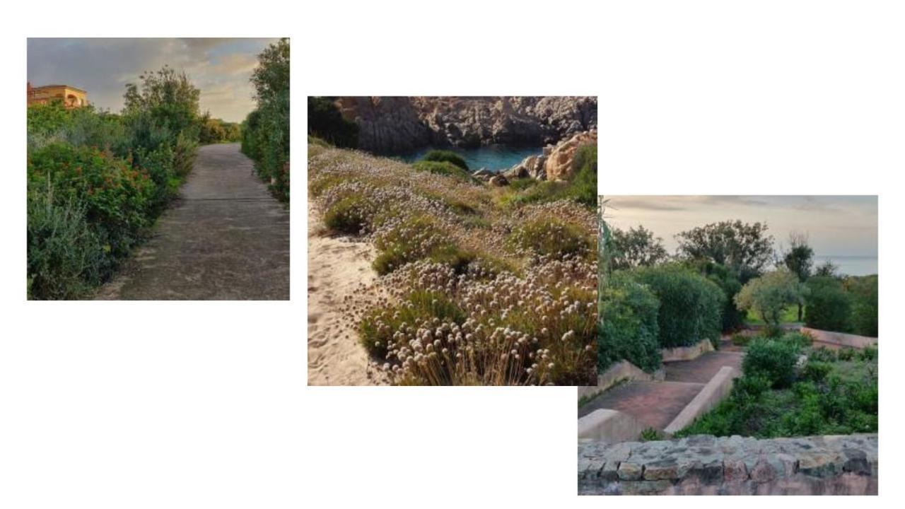Vacanze In Natura Incontaminata "Casa Vacanza Francesca" Isola Rossa Εξωτερικό φωτογραφία