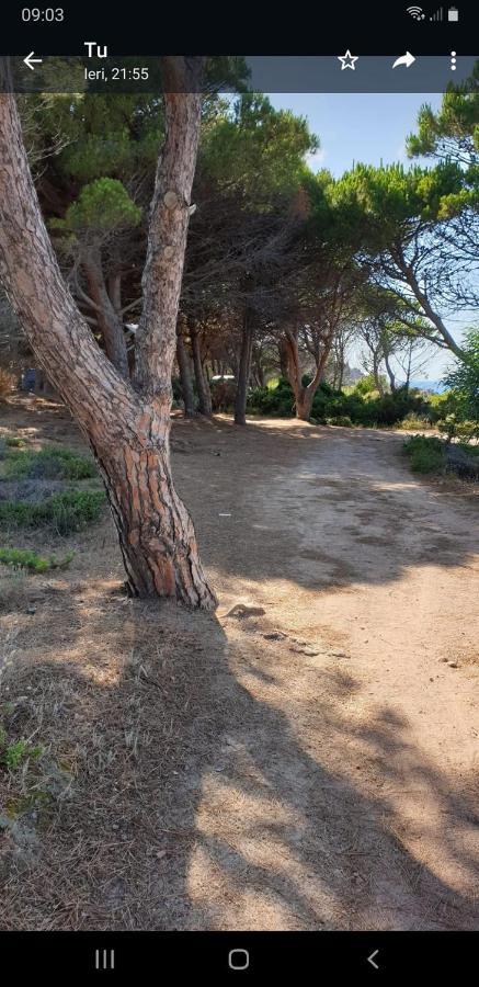 Vacanze In Natura Incontaminata "Casa Vacanza Francesca" Isola Rossa Εξωτερικό φωτογραφία